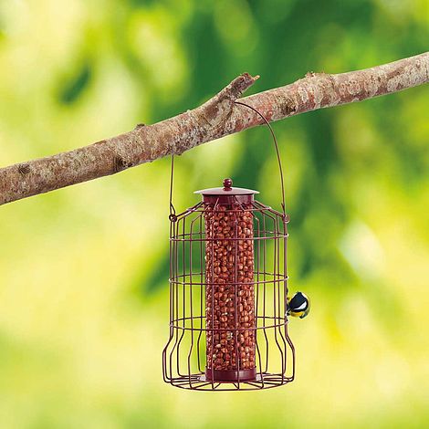 Nature’s Market Nut Feeder with Squirrel Guard